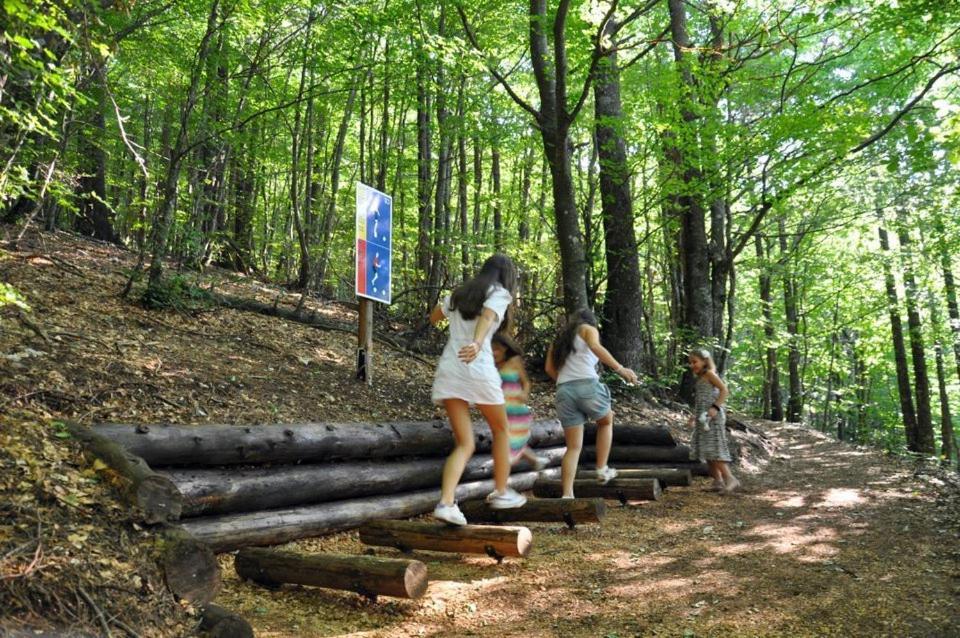 Hotel Snjezna Kuca - Nature Park Of Bosnia Herzegovina Padezina Extérieur photo