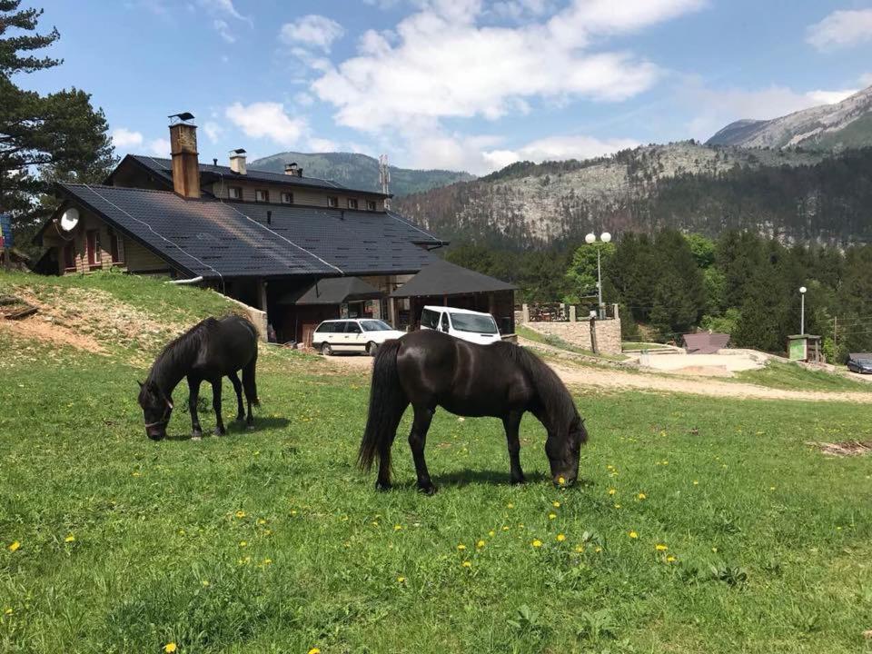 Hotel Snjezna Kuca - Nature Park Of Bosnia Herzegovina Padezina Extérieur photo